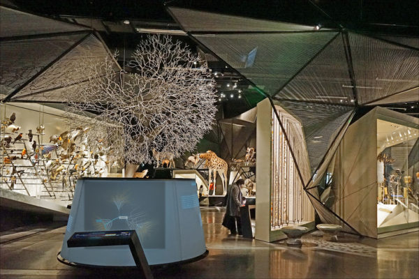 Musée des Confluences dans le 2ème arrondissement de Lyon